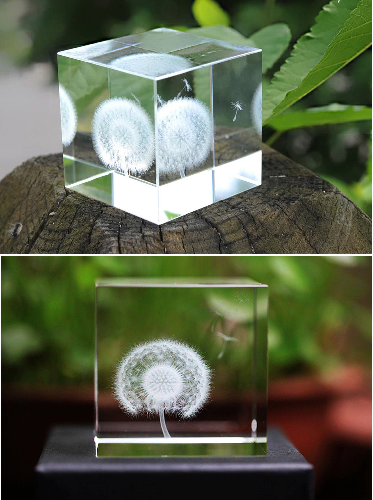 
                                        创意水晶摆件植物立方体蒲公英标本生日礼物送女友植物标本 蒲公英水晶                