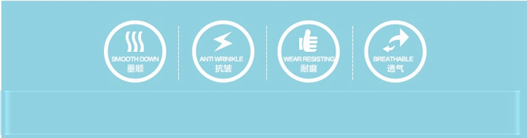 
                                        丝品乐晴彩 全棉夹棉床罩韩式蕾丝公主床裙 魅力蓝 非夹棉款床裙 120*200cm                