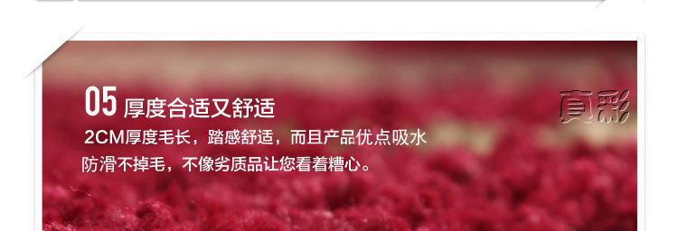真彩 门垫入户地垫脚垫 弯头纱纤维门厅门口防滑脚踏蹭土垫 红绿2大花 60x90cm