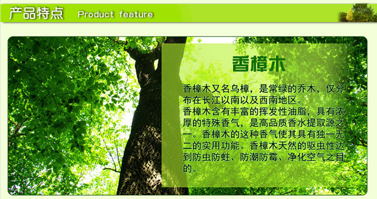 
                                                                                老管家天然香樟木条球替代樟脑丸卫生球驱虫防蛀多种规格 香樟木条40个                