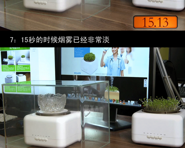 天然植物空气净化器加湿器迷你家用办公室负离子氧吧除甲醛杀菌PM2.5二手烟