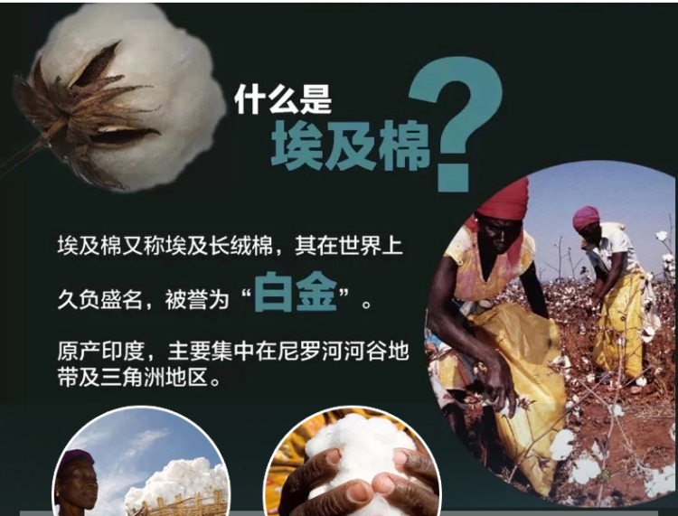 
                                        Royalrose皇室玫瑰 毛巾浴巾全棉埃及长绒棉加厚吸水纯棉浴巾单条装 月光倾城 杏色                