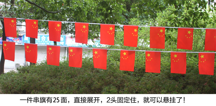 
                                                            居梦坞 装饰用品商铺学校 国旗装饰吊旗防雨防晒波浪旗串旗五星红旗 旗帜春节新年过年装饰用品 7号手摇旗20*30厘米                