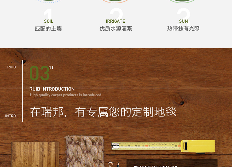 瑞邦（Rui.B）剑麻地毯地垫门垫客厅茶几沙发防滑脚垫定制 浅棕R029 60*90cm