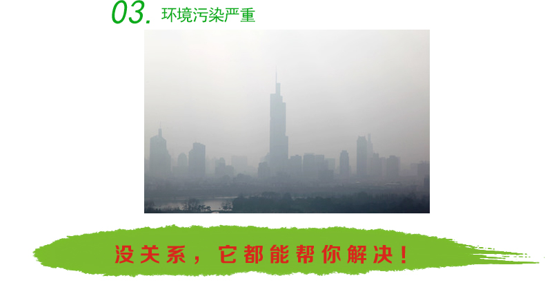 
                                        中彩家居 活性炭组合装 竹炭除甲醛 活性炭包 新房除味竹碳包 汽车家用活性炭 竹炭包+冰箱除味盒+口罩                