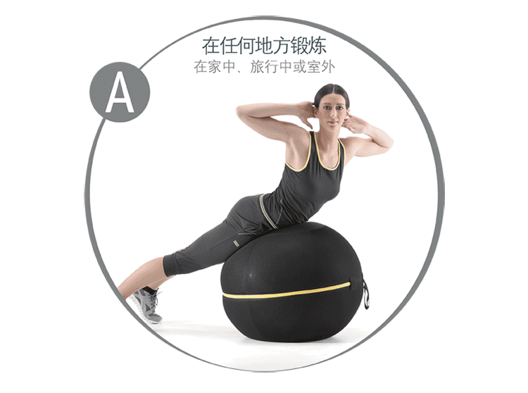 意大利泰诺健原装进口家用瑜伽球 坐姿球wellness ball 65cm坐姿球