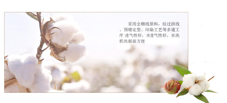 茵凡亚麻沙发垫坐垫组合沙发垫时尚简约现代沙发巾罩套格子垫可定制 高档亚麻格子-小米花 套50*50
