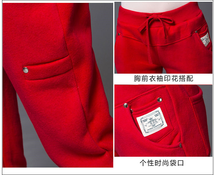 贺娜2015秋冬装新款韩版时尚加绒加厚休闲运动卫衣套装女ZH868 红色 M
