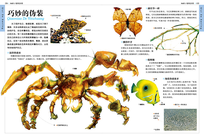 超级动物百科 小学生科普阅读 页川著 9787538592351