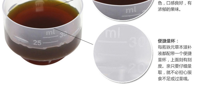 德国 Floradix iron铁元素草本营养液 红铁 250m