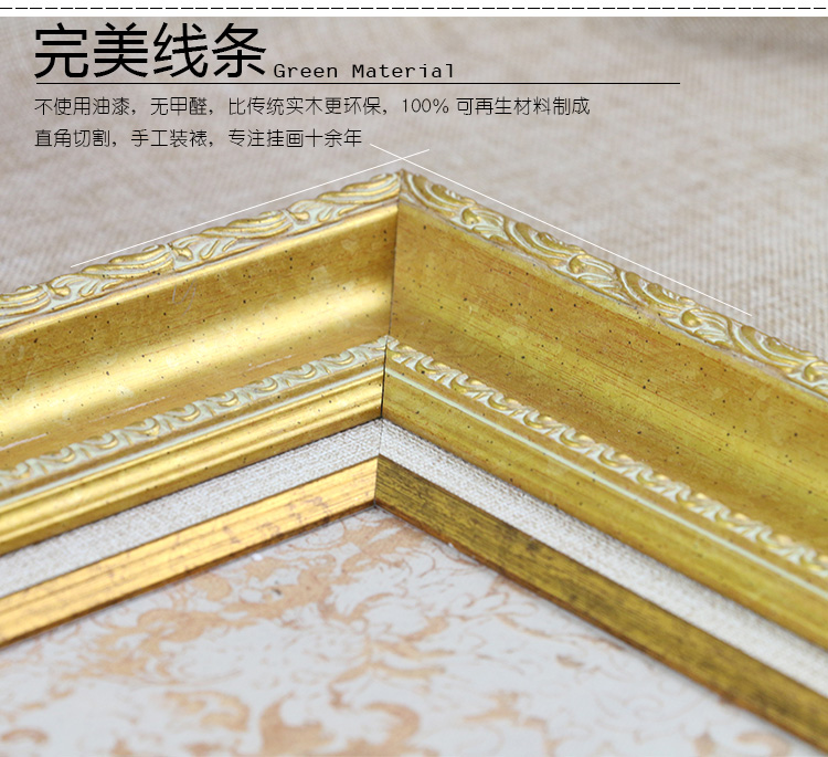 
                                        森朴 欧式客厅沙发背景墙装饰画 金色花鸟挂画三联画富贵招财大尺寸壁画 奢华金框3件套 55*70                