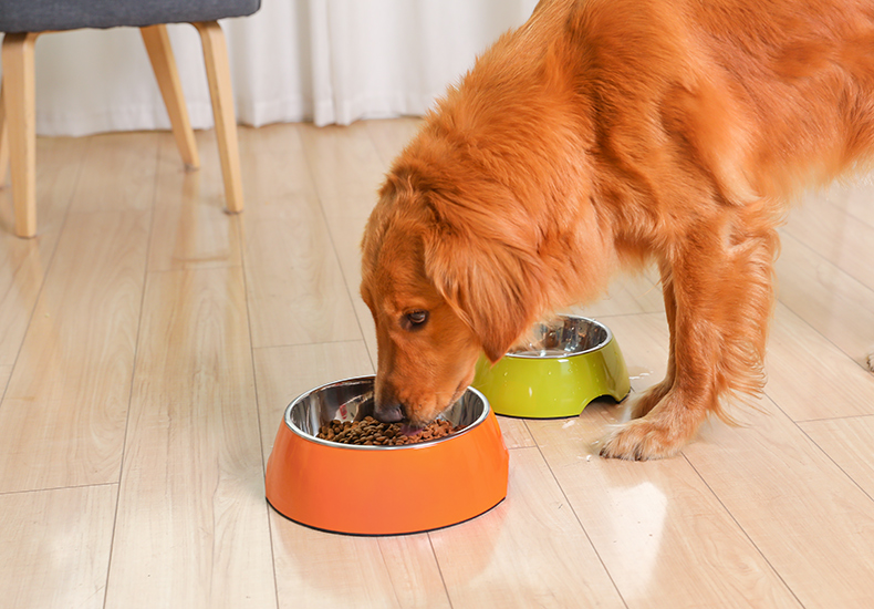 华元狗碗狗盆泰迪猫碗大型犬不锈钢双碗吃饭的碗橙色碗s碗口直径11深