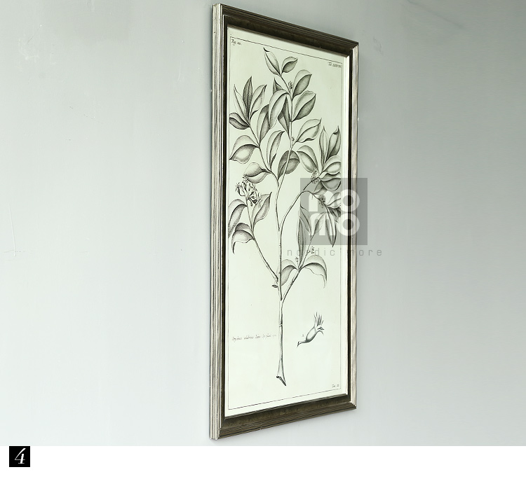 售完无补 NOMO art deco美式素描画客厅玄关装饰画挂画 花鸟风景 达尔文笔记 A款