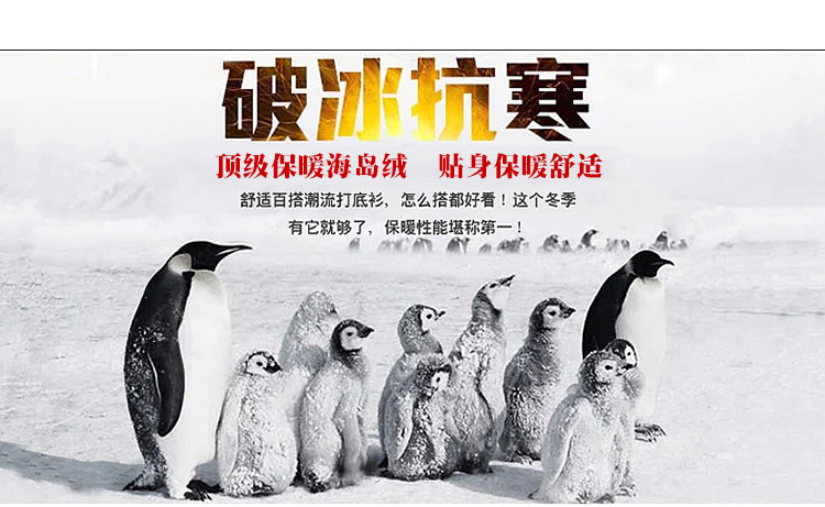 阁礼莎2015秋装新款女装学生韩版时尚显瘦休闲运动卫衣女QDDS008 酒红色 L