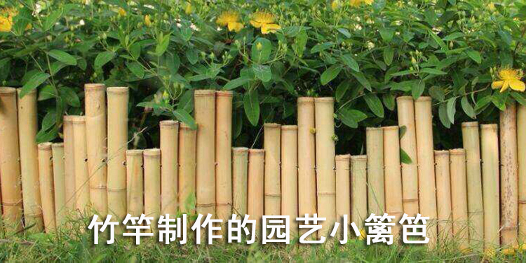 菜园 装饰庭院 室内装潢均可以用到竹竿