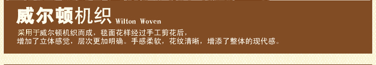 
                                        青格勒 客厅茶几仿羊毛地毯 欧式风格地垫卧室书房餐厅脚垫完美做工脚感极棒 1255R红色 2000*3000MM                