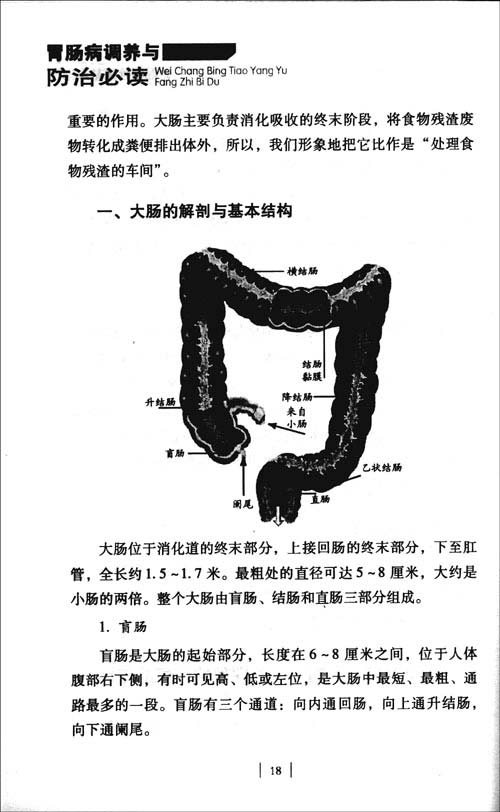 延续,沿着腹腔的右外侧区上行,至肝右叶下方转向左前下方移行于横结肠