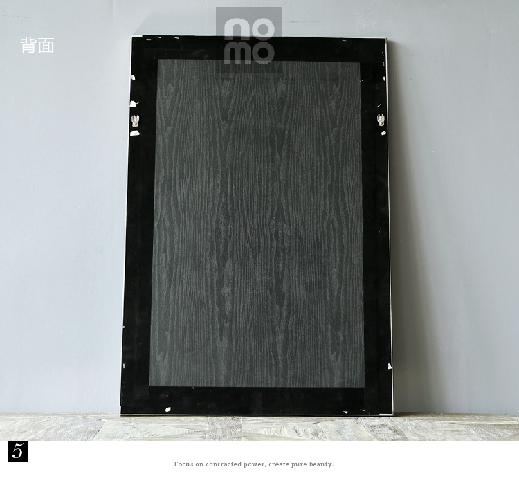 售完无补 NOMO art deco美式素描画客厅玄关装饰画挂画 花鸟风景 达尔文笔记 A款