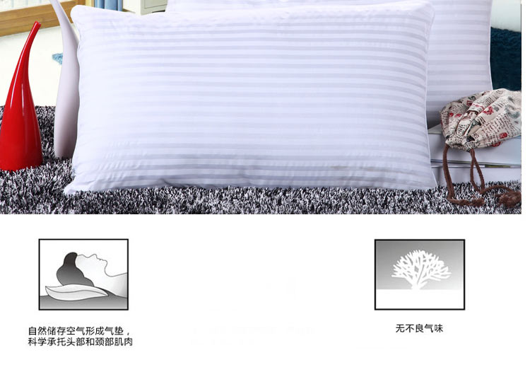特价优惠组合 枕芯+ 纯棉枕套 枕头一次买好 音乐童年--送枕芯 48*74cm