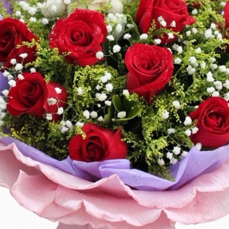 重庆等全国送花 9枝红玫瑰 生日祝福 送爱人女友礼物 情人节圣诞节 平