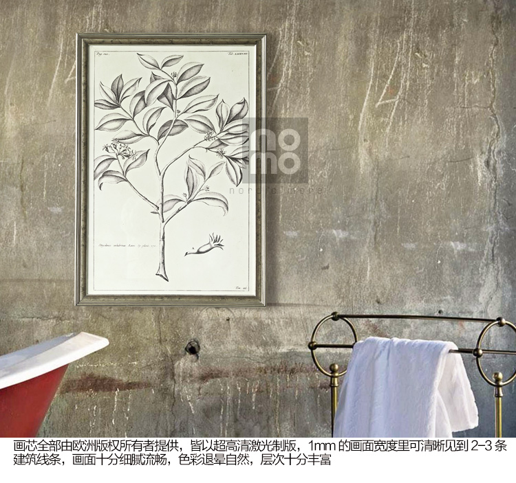 售完无补 NOMO art deco美式素描画客厅玄关装饰画挂画 花鸟风景 达尔文笔记 A款