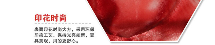 
                                        皛胜家纺 床上用品 双层双人拉舍尔压花毛毯毯子盖毯 大喜 150*200cm/四斤                