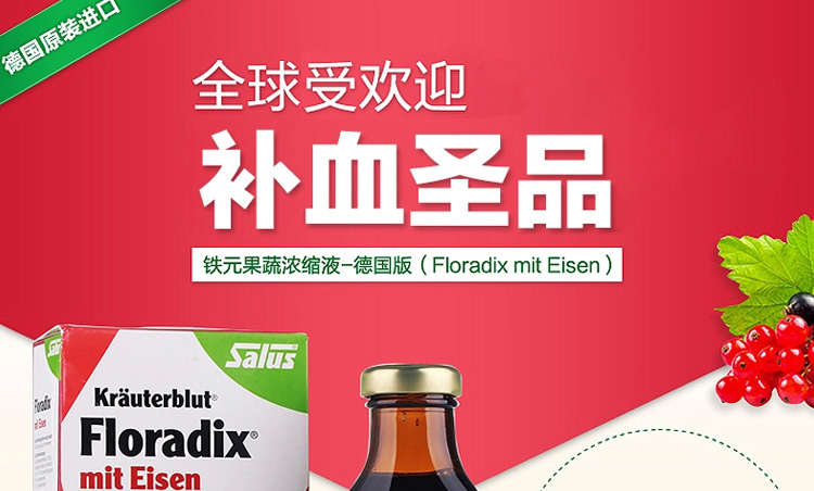 德国 Floradix iron铁元素草本营养液 红铁 250m