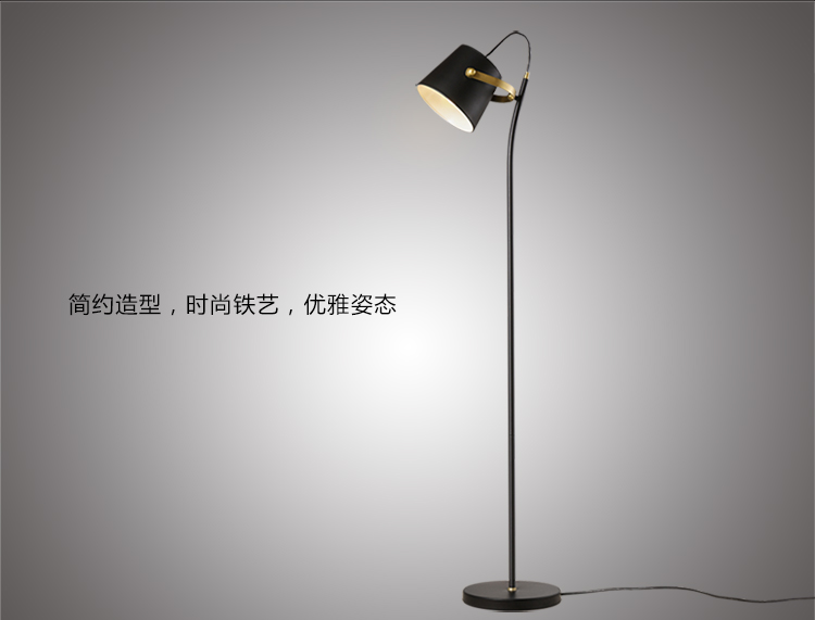 
                                        KC灯具北欧客厅简约现代书房卧室床头个性铁艺立式落地灯客厅时尚 赠5瓦led黄光球泡                