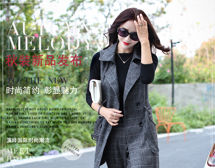 佳衣名品 2015秋款女装马甲长裤两件套 韩版时尚套装 M8005 灰色 XXL