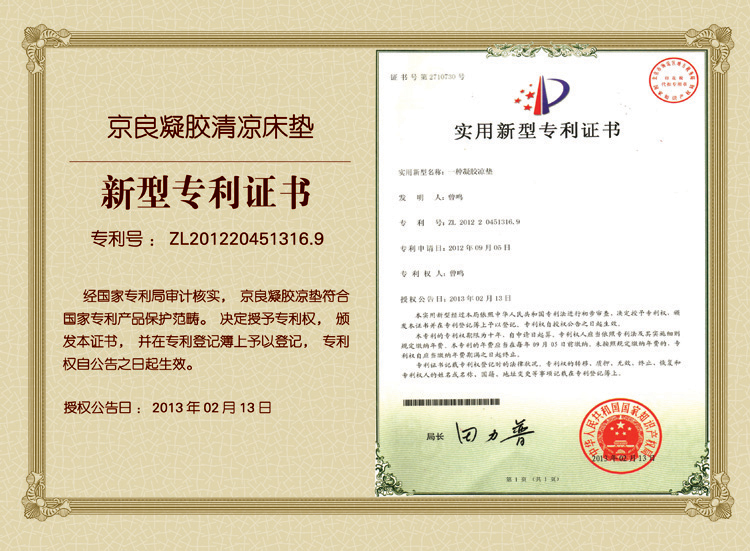 
                                        京良 凉席冰垫 夏日清凉凝胶凉垫 可折叠空调席子免洗床垫冬夏两用床垫 凝胶床垫 毛巾棉布床垫不变形记 蓝色 90*140cm                