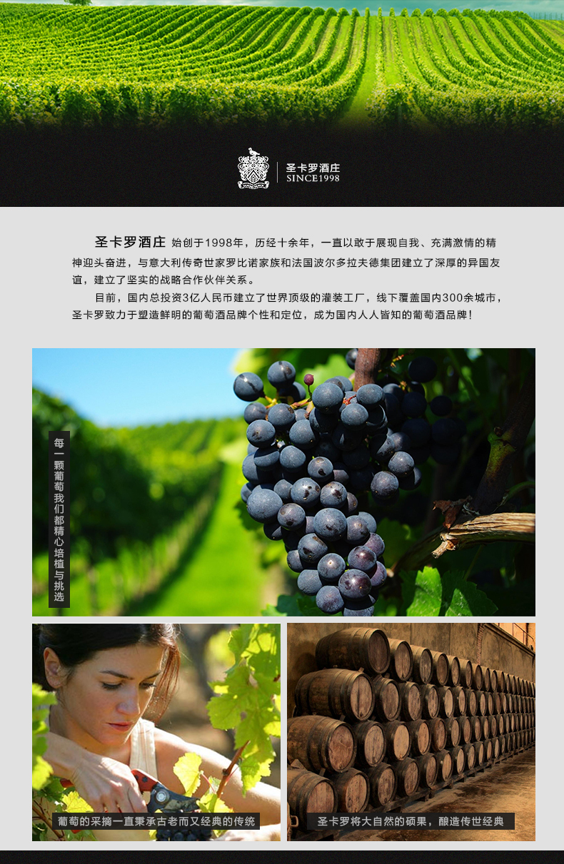 罗法国原汁 正品红酒特价 大金牛干红葡萄酒礼