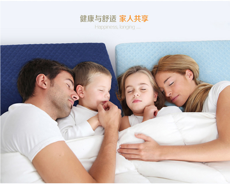 
                                        Back2脊态  记忆枕枕头 颈椎枕 成人颈椎护颈三区可调记忆棉颈椎保健枕头 天空蓝 枕高9cm                
