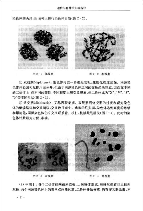 减数分裂是有性生殖的生物在形成配子过程中发生的一