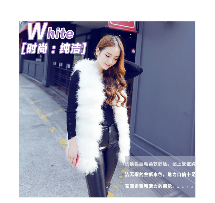 E家人2015新款韩版女装仿皮草外套中长款显瘦时尚马甲女秋冬 黑色 均码