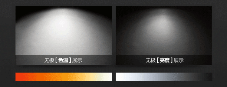 金盛马 现代简约长方形 吊线艺术餐厅水晶吊灯C008 1米*310*800 8头LED七彩led两路分段