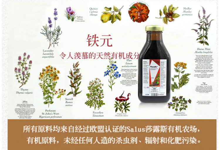 德国 Floradix iron铁元素草本营养液 红铁 250m