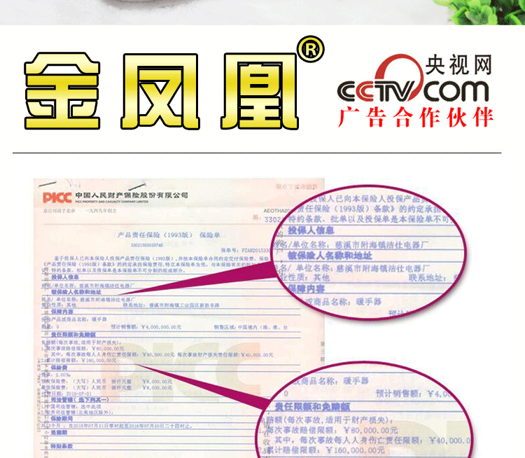 金凤凰带热水袋充电防爆暖腰带 已注水暖手宝暖水袋暖腰宝 咖啡款腰带