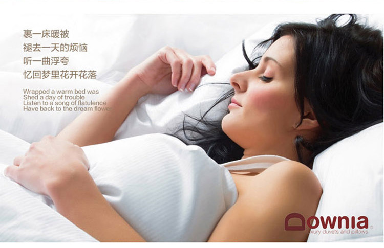 Downia 鸭绒枕 四季同款定制家庭款羽绒小枕（五星级酒店枕） 家庭常规款四季偏软鸭绒小枕1只 送枕套 48cm*74cm