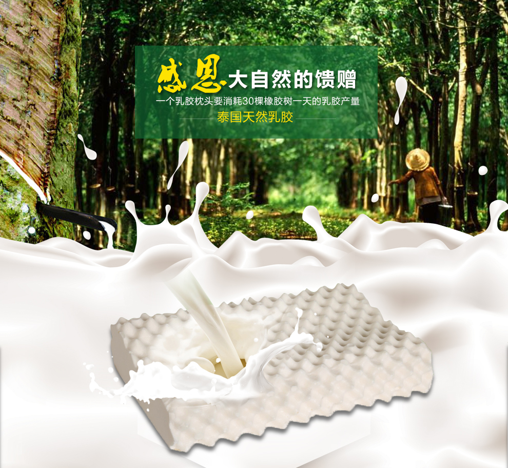 
                                        景秀华庭乳胶枕头 冬暖夏凉枕头乳胶芯 天然成人单人枕头助睡眠枕芯护颈枕 凝胶枕一个                