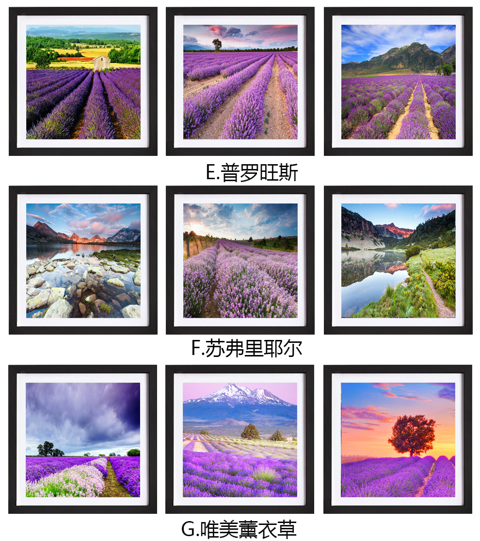 
                                        易品（YIPIN） 装饰画客厅现代简约沙发背景墙三联画挂画荷韵新中式墙画壁画 藕花深处 50*50一套三幅                