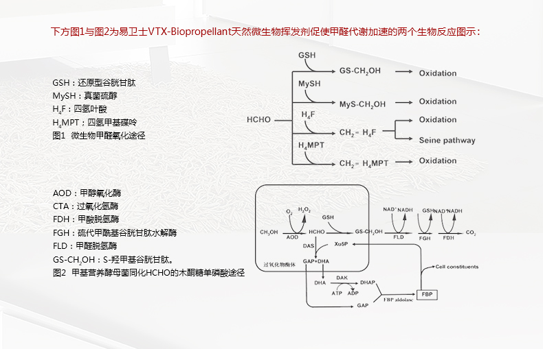 易卫士eves 德国进口室内甲醛清除剂 新装修除甲醛新家具除味喷剂治理喷雾家具甲醛清除包邮 聚划算三瓶装