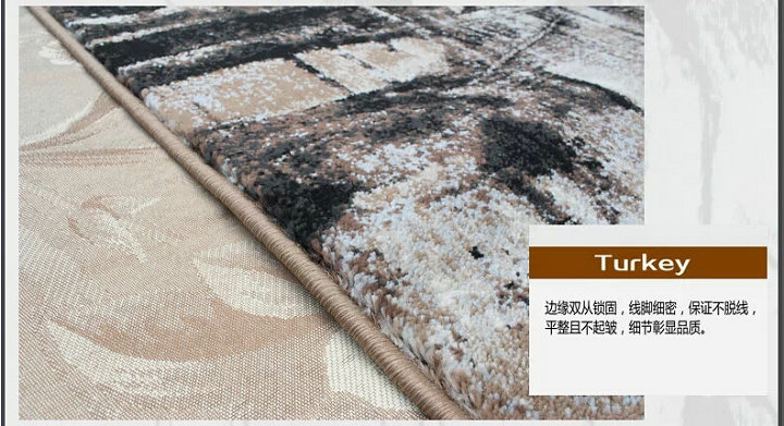 
                                        博奕土耳其进口地毯 欧式美式简约现代高密度地毯 客厅沙发卧室茶几地毯 160*230cm PASTEC 03109 120*170cm                