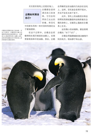 作者介绍 暂无 文摘 暂无