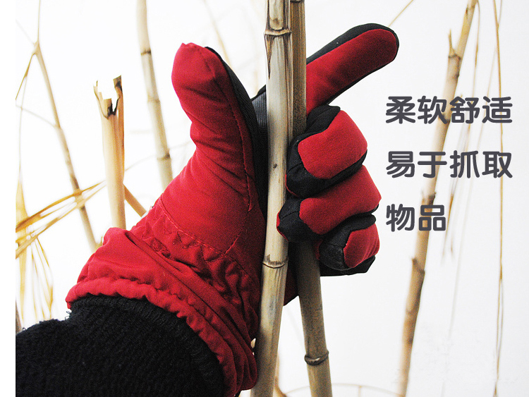 
                                        温倍尔户外电发热手套WSG0120C加热保暖4小时充电式手背发热配护腕【可货到付款】120 红色 M码                