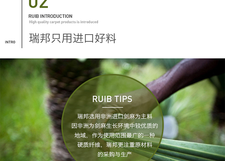 瑞邦（Rui.B）剑麻地毯地垫门垫客厅茶几沙发防滑脚垫定制 浅棕R029 60*90cm