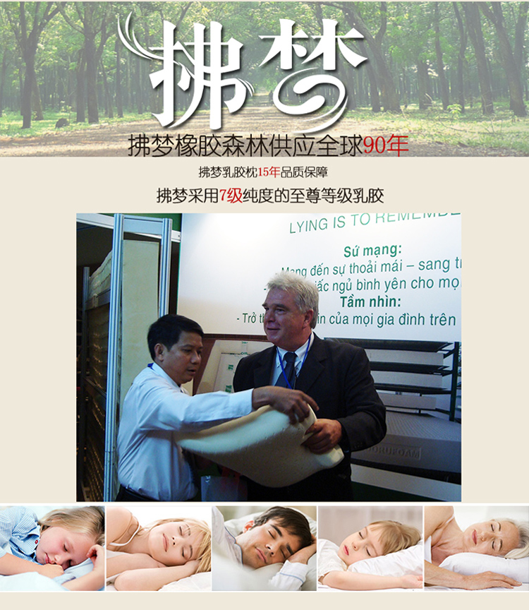 拂梦越南进口天然乳胶枕头 橡胶枕头 波浪护颈枕 对比泰国乳胶枕