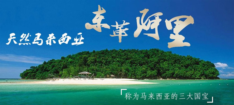 尚原 马来西亚东革阿里原片30克 效果胜玛卡玛