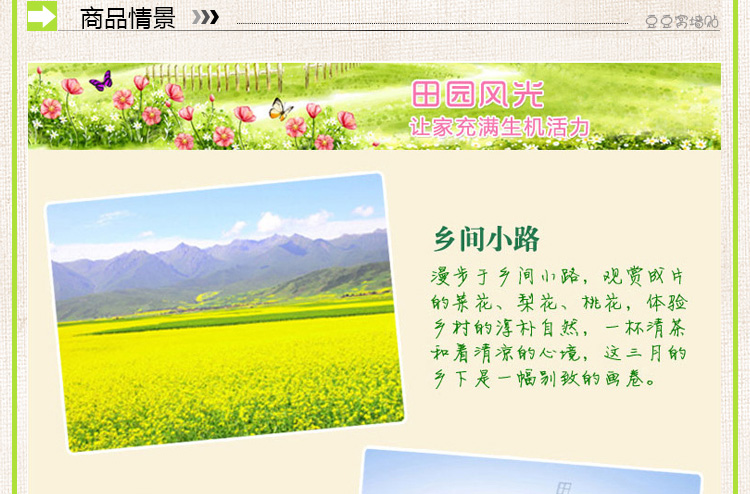 
                                        豆豆窝 卧室可移除墙贴纸 客厅电视背景墙贴画 9139 栅栏风车 60*90cm                