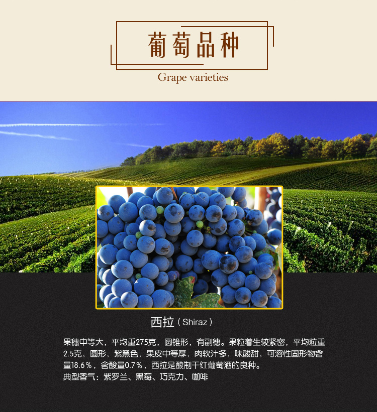 沙城庄园桑洋河畔西拉五钻干红葡萄酒 750ml