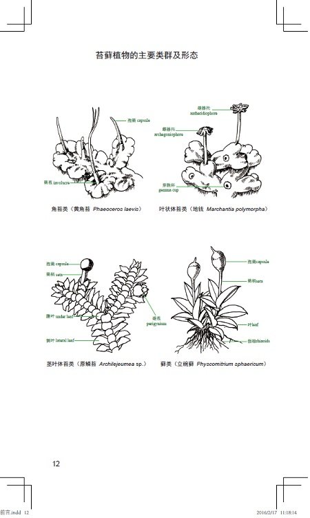 中国常见植物野外识别手册(苔藓册) 9787100118149